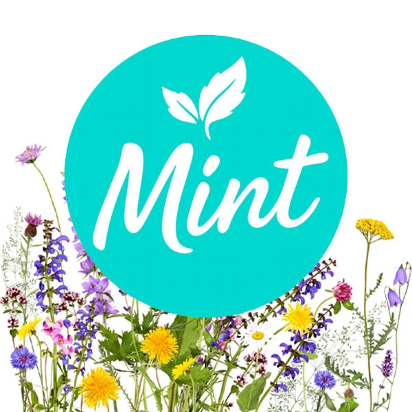 Безнікотинова суміш Mint Квітковий 100 гр