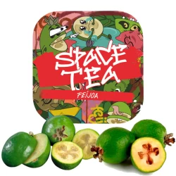 Чайна суміш Space Tea Feijoa (Фейхоа) 250 гр