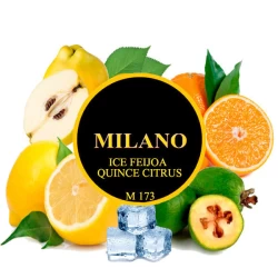 Тютюн Milano Ice Feijoa Quince Citrus M173 (Лід Фейхоа Айва Цитрус) 100 гр