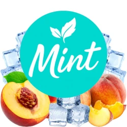 Безнікотинова суміш Mint Айс Персик 100 гр