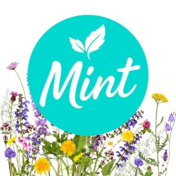 Безнікотинова суміш Mint Квітковий 50 гр