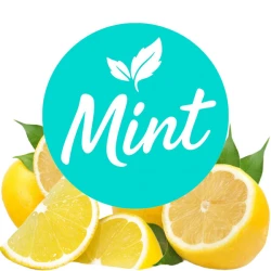 Безнікотинова суміш Mint Лимон 50 гр