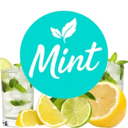 Безнікотинова суміш Mint Мохіто 50 гр