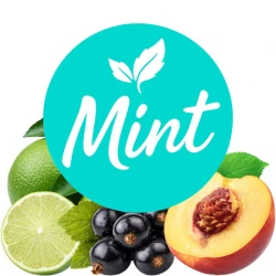 Безнікотинова суміш Mint Смородина Персик-Лайм 100 гр