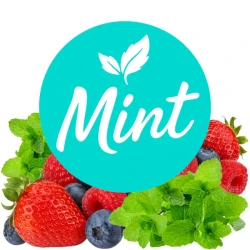 Безнікотинова суміш Mint Ягоди-М'ята 50 гр