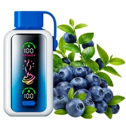 Одноразова електронна сигарета Vozol Star Blueberry Storm (Чорниця Шторм) (20000 Затяжок)