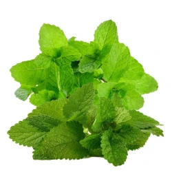 Тютюн Fumari Enlighten Mint (Інлайтен Мінт) 100гр