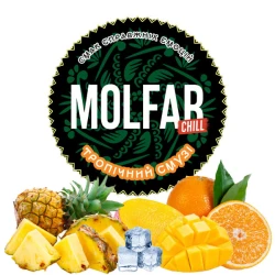 Тютюн Molfar Tobacco Chill Line Тропічний Смузі 40 гр